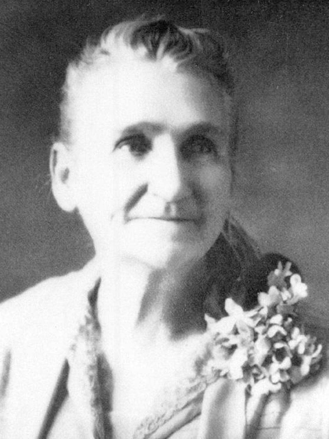 Mary Ann Lewis (1859 - 1940) Profile